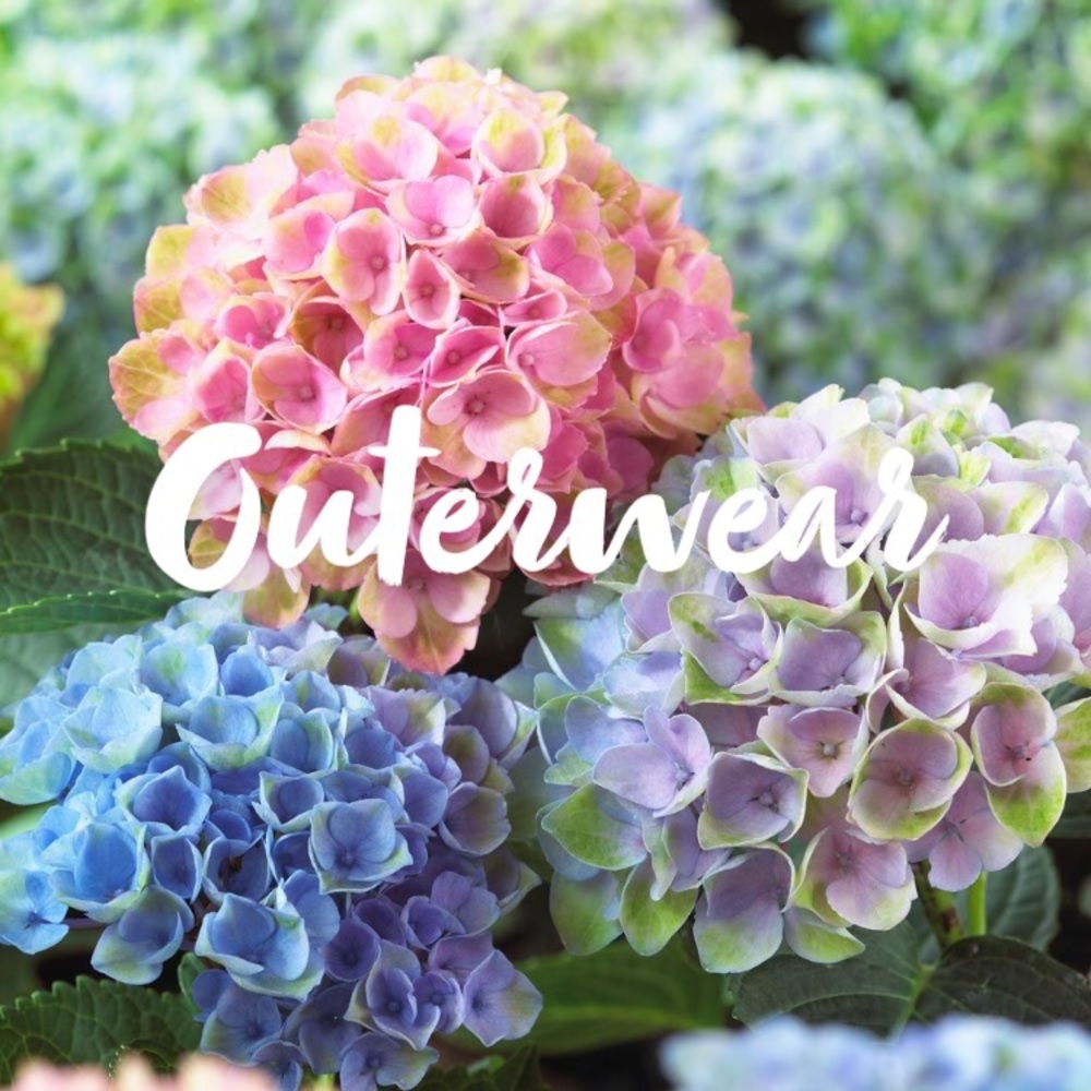 Outerwear!